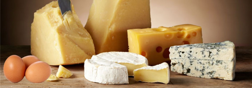 Les fromages et produits laitiers