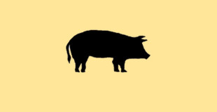 Le porc