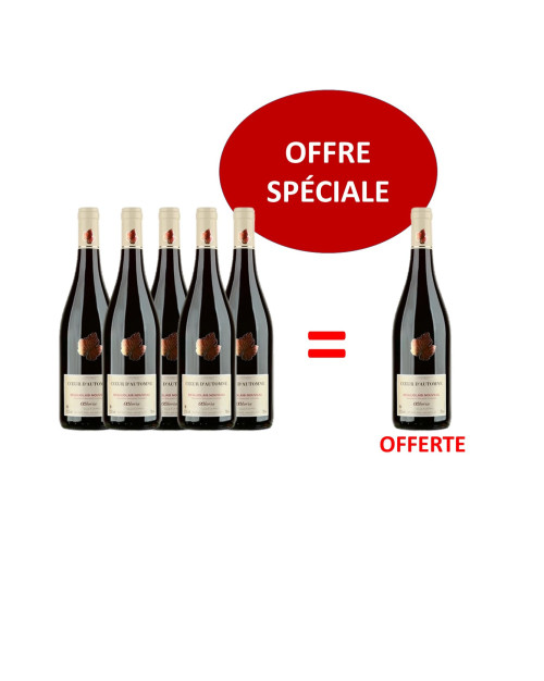 LOT 5 BEAUJOLAIS NOUVEAU + 1 BOUTEILLE OFFERTE 75 cl