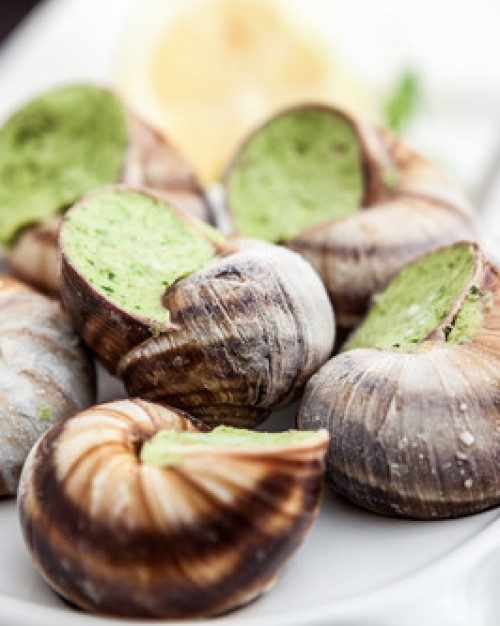 ESCARGOT DE LA VALLEE DE LA LYS x12
