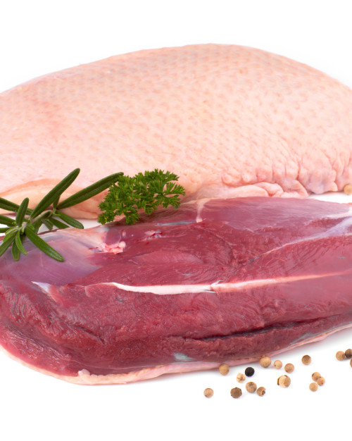 MAGRET DE CANARD