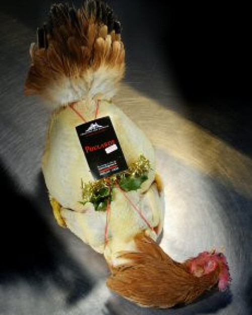 POULARDE (+/- 5 à 6 pers)