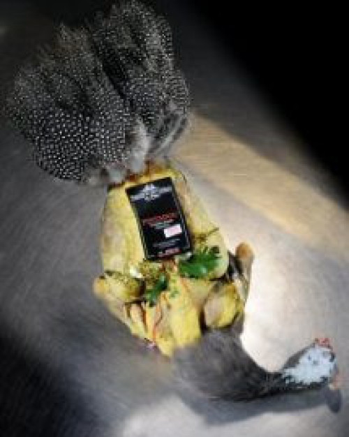 CHAPON DE PINTADE (+/- 5 à 6 pers)